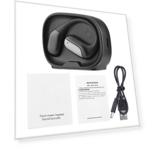 AI Translation Earbuds — In-Ear Headphones, DIYelecs