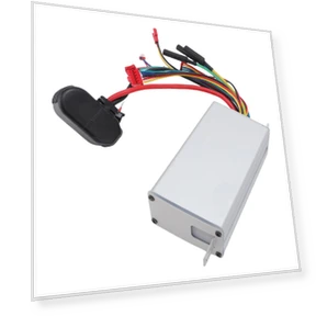 Electric Scooter Controller — Electric Self-Balancing Scooters, Fishine