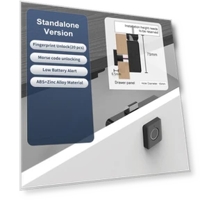 Fingerprint Lock for Cabinet Drawer — Locks, The Romantics