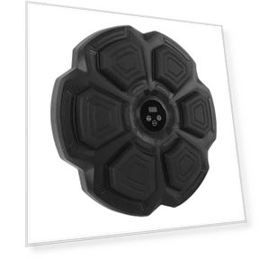 Smart Bluetooth Music Boxing Trainer — Boxing Training Gear, Fishine