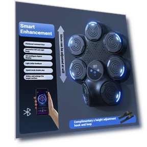 Smart Musical Boxing Trainer — Boxing Training Gear, Relax&Life