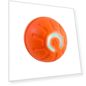 Interactive Dog Toy — Toys, luziSH