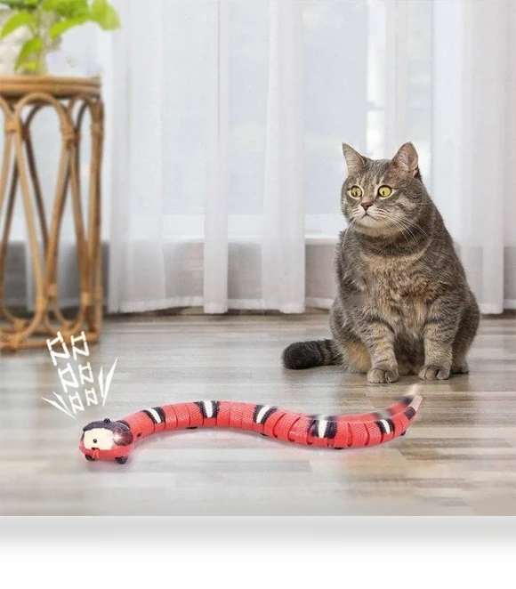 Smart Sensing Snake Electron Interactive Cat Toy — Interactive Animal Companions