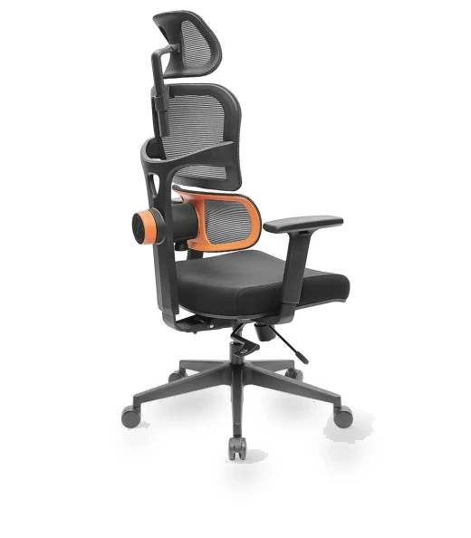 Ergonomic Chair with Adaptive Lower Back Support, Adjustable Armrest and Headrest — Desk Chairs, NEWTRAL