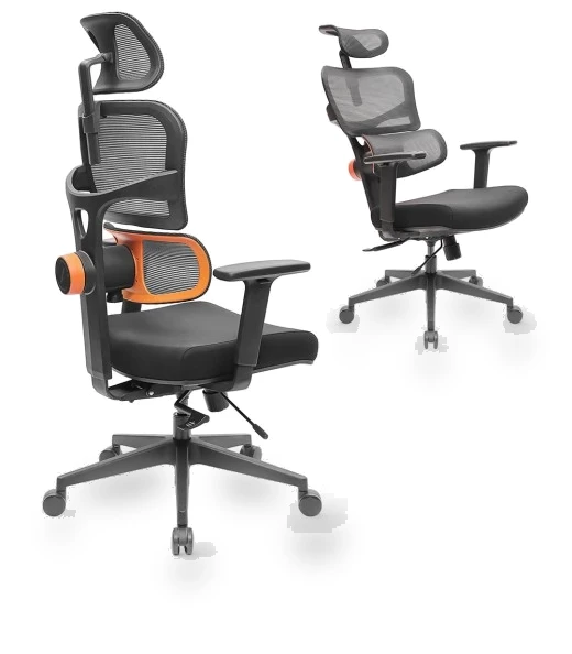 Ergonomic Chair with Adaptive Lower Back Support, Adjustable Armrest and Headrest — Desk Chairs, NEWTRAL