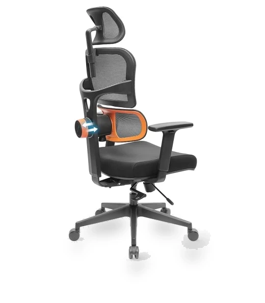Ergonomic Chair with Adaptive Lower Back Support, Adjustable Armrest and Headrest — Desk Chairs, NEWTRAL