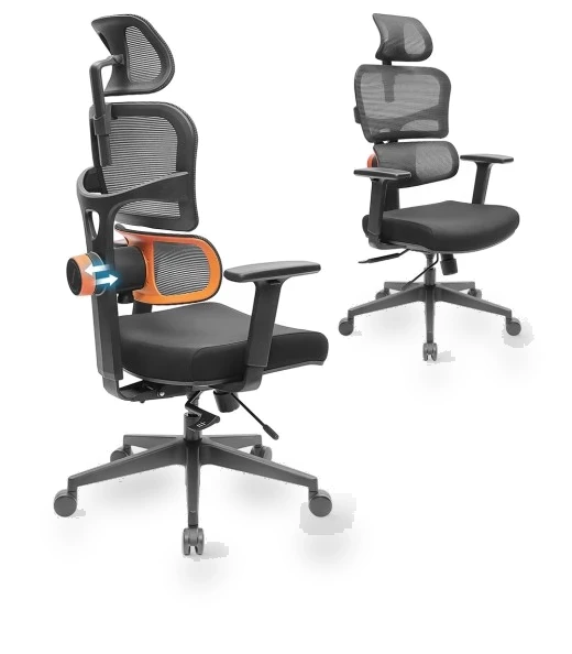 Ergonomic Chair with Adaptive Lower Back Support, Adjustable Armrest and Headrest — Desk Chairs, NEWTRAL