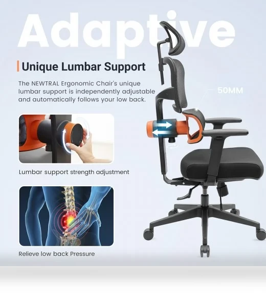 Ergonomic Chair with Adaptive Lower Back Support, Adjustable Armrest and Headrest — Desk Chairs, NEWTRAL