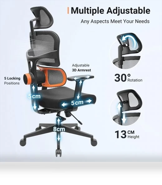 Ergonomic Chair with Adaptive Lower Back Support, Adjustable Armrest and Headrest — Desk Chairs, NEWTRAL