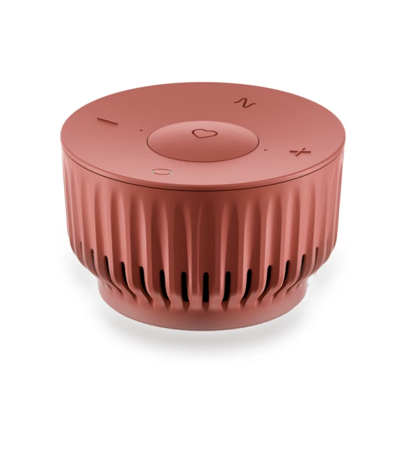 Smart Speaker — Portable Sound Systems, Sber