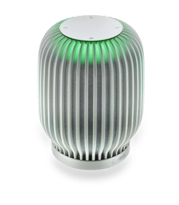 Smart Speaker — Portable Audio, Sber