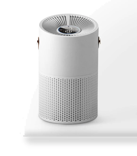 Air Purifier with True HEPA Filter — Activated Carbon Air Purifiers