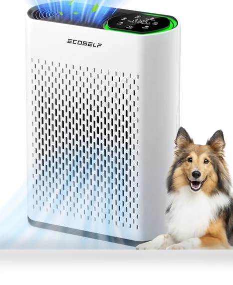 Air Purifier for Large Rooms up to 1400 Ft² with Air Quality Monitor — Electrostatic Air Purifiers, ECOSELF