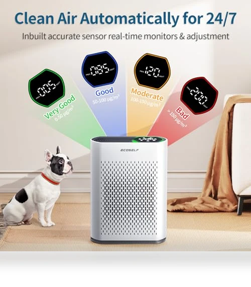 Air Purifier for Large Rooms up to 1400 Ft² with Air Quality Monitor — Electrostatic Air Purifiers, ECOSELF