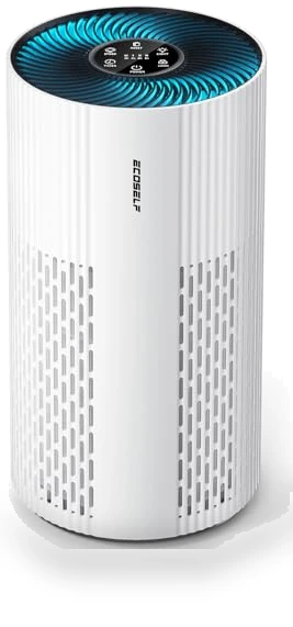 Large Room Air Purifier with HEPA Filter and Sleep Mode — Electrostatic Air Purifiers, ECOSELF
