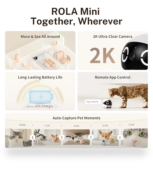 Movable Pet Camera Robot with 2K Resolution and Night Vision — Security & Surveillance Robots, Enabot