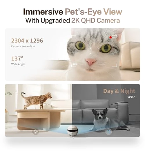 Movable Pet Camera Robot with 2K Resolution and Night Vision — Security & Surveillance Robots, Enabot
