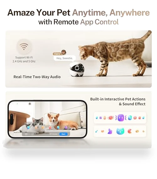 Movable Pet Camera Robot with 2K Resolution and Night Vision — Security & Surveillance Robots, Enabot