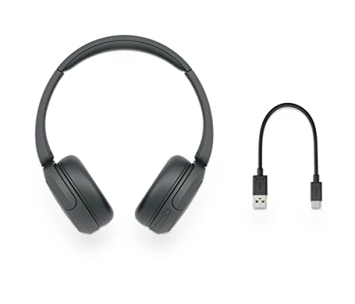 Wireless On-Ear Headphones with Microphone, Bluetooth 5.2 — In-Ear Headphones, Sony