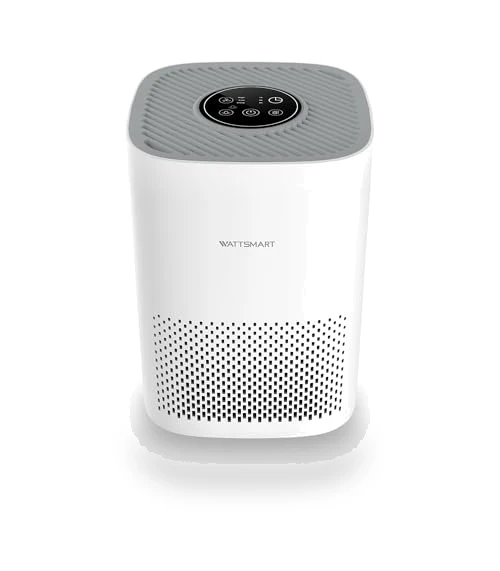 H13 True HEPA Air Purifier for Home - Portable Air Cleaner with Quiet Sleep Mode — Activated Carbon Air Purifiers, WATTSMART