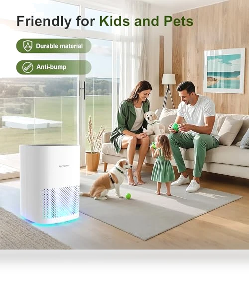 H13 True HEPA Air Purifier for Home - Portable Air Cleaner with Quiet Sleep Mode — Activated Carbon Air Purifiers, WATTSMART
