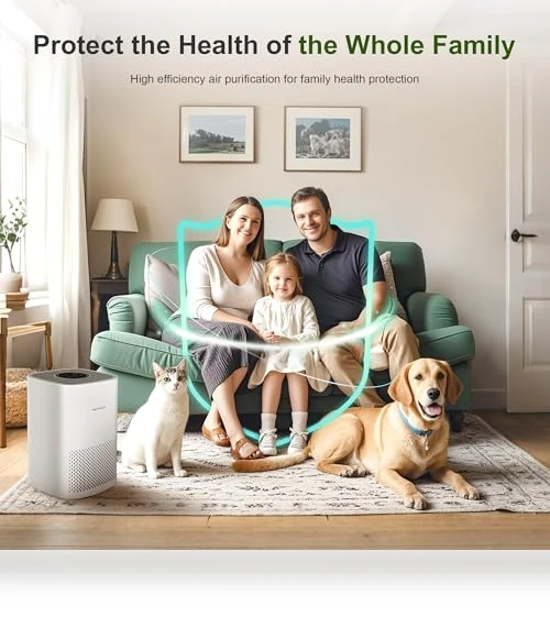 H13 True HEPA Air Purifier for Home - Portable Air Cleaner with Quiet Sleep Mode — Activated Carbon Air Purifiers, WATTSMART