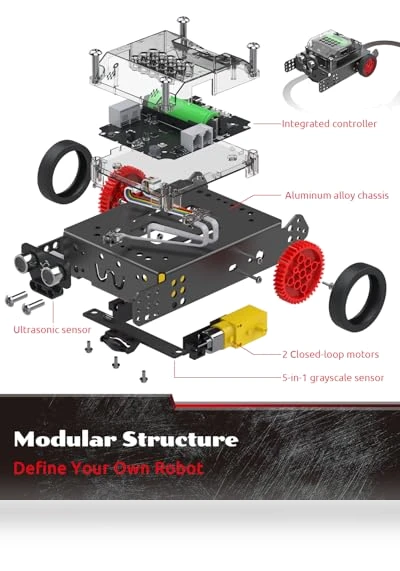 Coding & Remote Control Robot Kit for Kids — Interactive Figures & Robots, Whalesbot