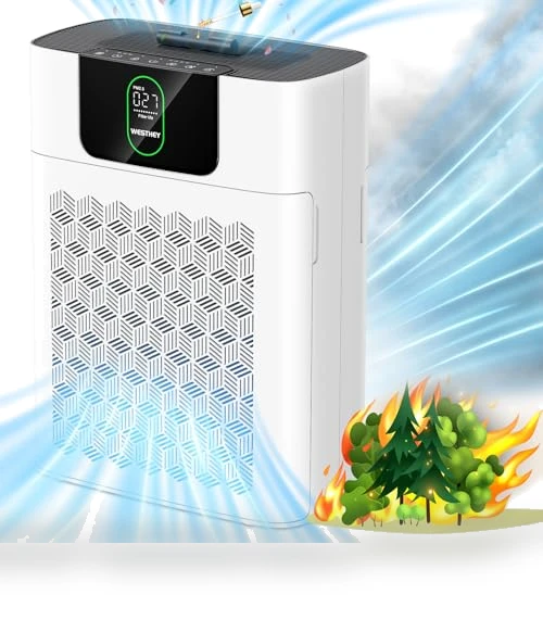 HEPA Air Purifier for Large Rooms — Activated Carbon Air Purifiers, WESTHEY
