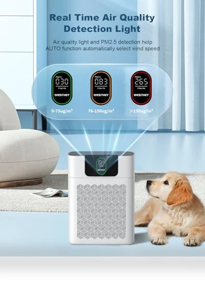 HEPA Air Purifier for Large Rooms — Activated Carbon Air Purifiers, WESTHEY