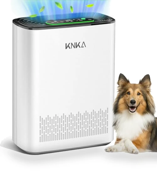 HEPA Air Purifier for Large Rooms — Activated Carbon Air Purifiers, KNKA