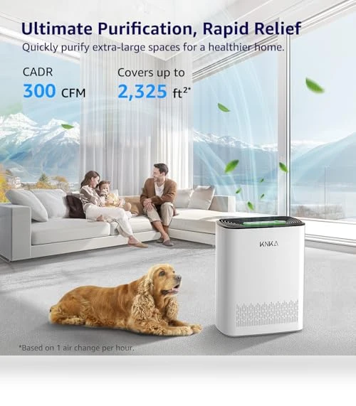 HEPA Air Purifier for Large Rooms — Activated Carbon Air Purifiers, KNKA
