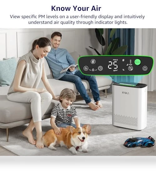 HEPA Air Purifier for Large Rooms — Activated Carbon Air Purifiers, KNKA