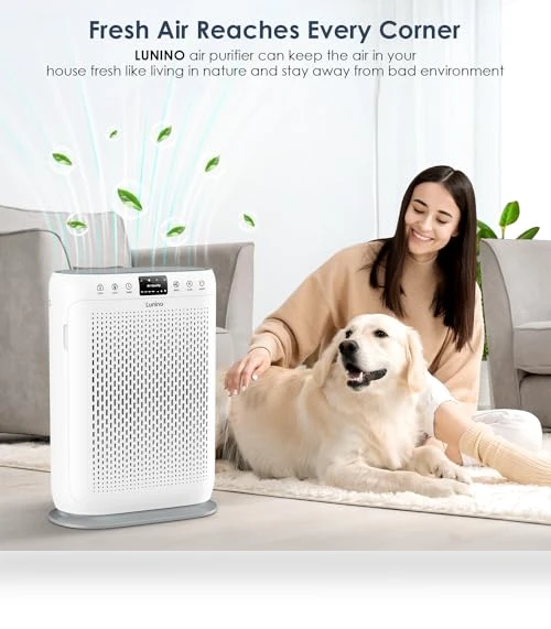 Large Room Air Purifier with HEPA Filter — Activated Carbon Air Purifiers, LuninoHome.com