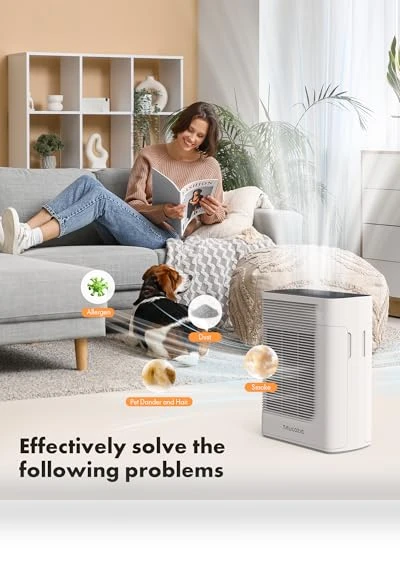 Large Room Air Purifier — Electrostatic Air Purifiers, Trucozie