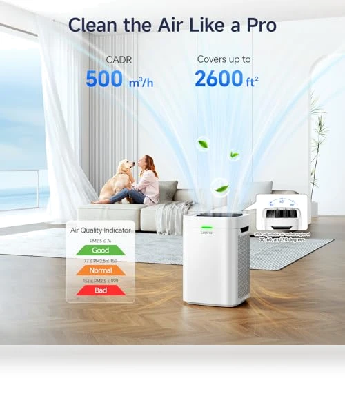 Double-Sided HEPA Air Purifier — Activated Carbon Air Purifiers, LUNINO