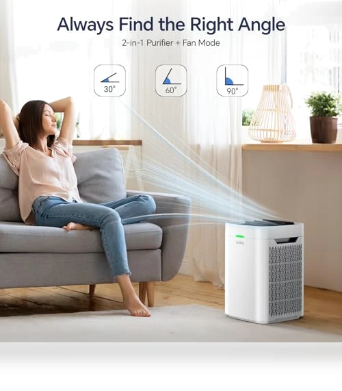 Double-Sided HEPA Air Purifier — Activated Carbon Air Purifiers, LUNINO