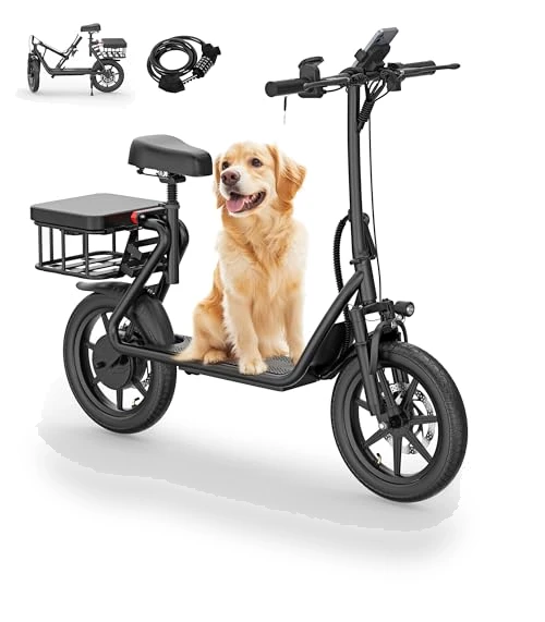 Electric Scooter with Seat — Electric Vehicles, NAVIC