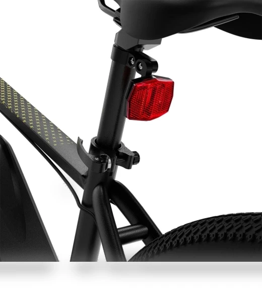 29 Inch CST Tire Electric Bike MTB Mountain Bike With App Control — Electric Self-Balancing Scooters, Eleglide