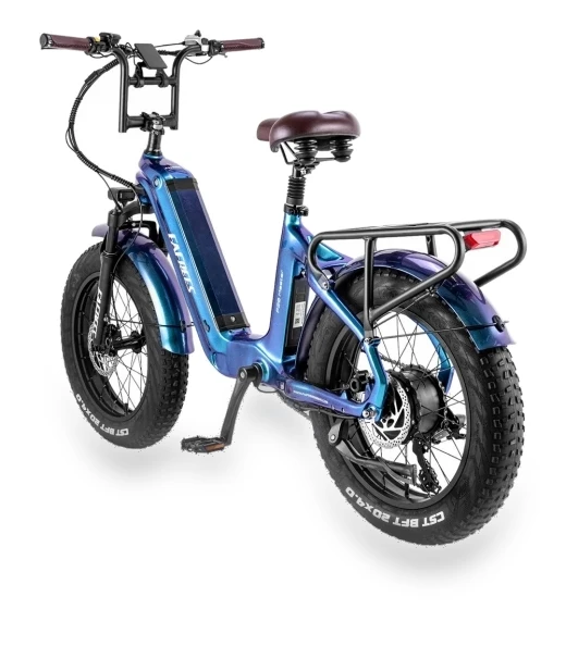 Electric Bike — Electric Self-Balancing Scooters, Fafrees
