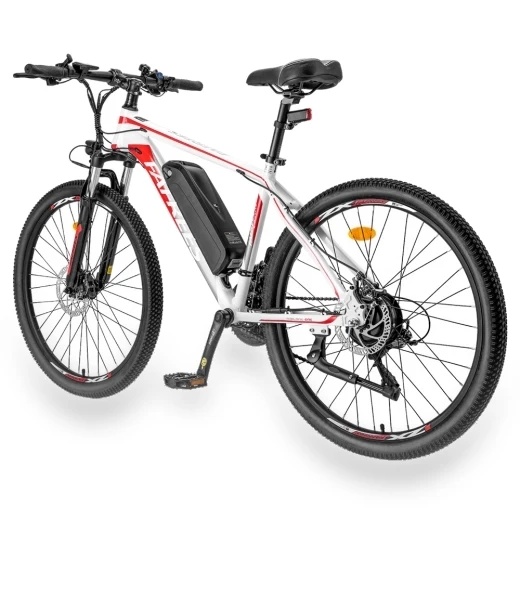 Electric Bike — Batteries, Fafrees