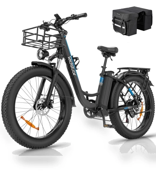 Electric Bike — Electric Vehicles, Ridstar