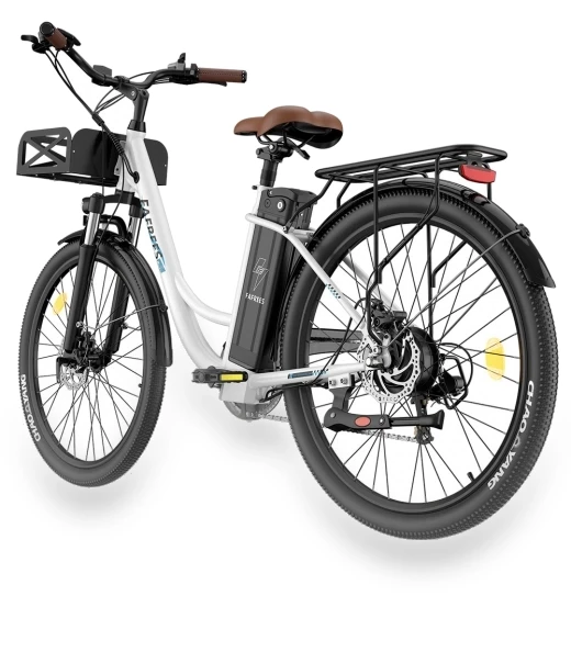 Lasting Electric Bike — Electric Self-Balancing Scooters, Fafrees