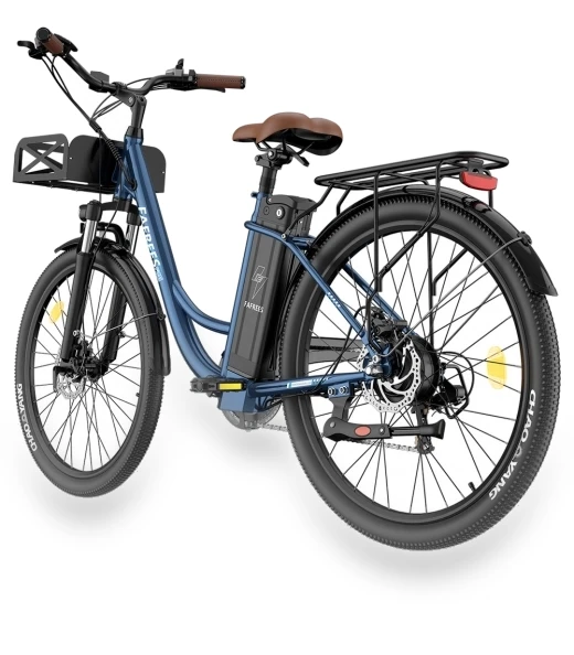 Lasting Electric Bike — Electric Self-Balancing Scooters, Fafrees