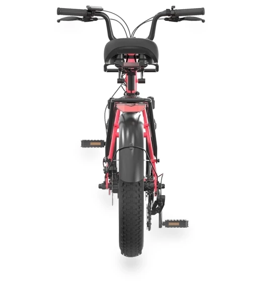 Electric Bike — Electric Self-Balancing Scooters, PVY