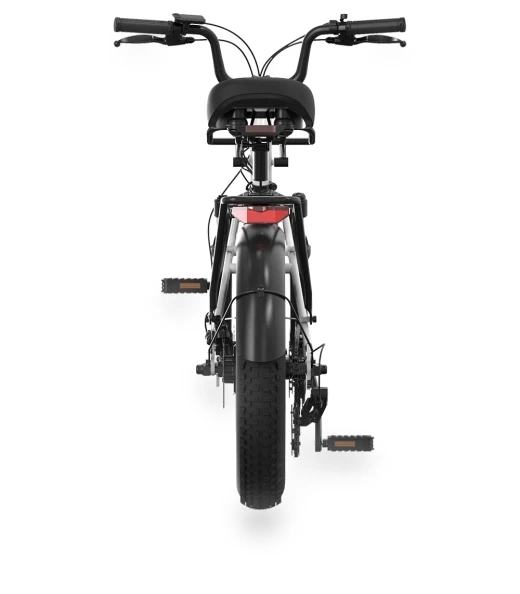Electric Bike — Electric Self-Balancing Scooters, PVY