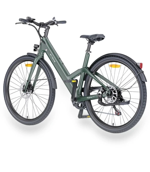 Electric Bike — Electric Self-Balancing Scooters, ENGWE