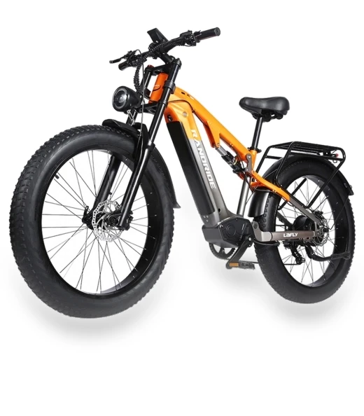 Electric Bike — Electric Vehicles, RANDRIDE