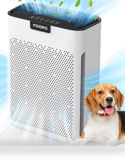Air Purifier for Home Large Room — Air Moisturizers, Mooka