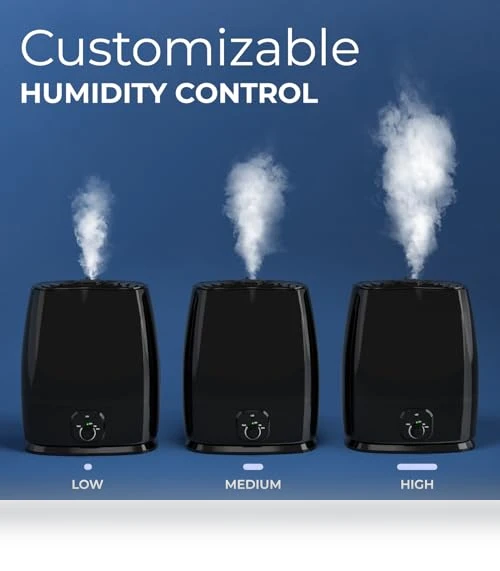 Cool Mist Humidifier — Air Moisturizers, Everlasting Comfort