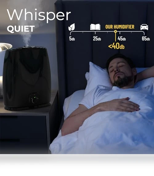 Cool Mist Humidifier — Air Moisturizers, Everlasting Comfort